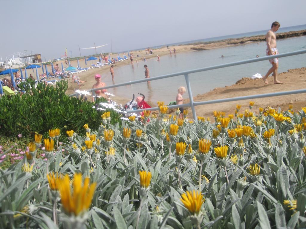 Polyxenia Isaak Luxury Villas And Apartments Πρωταράς Εξωτερικό φωτογραφία
